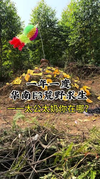 #真实生活分享计划 一年一度华南F3荒野求生一一太公太奶你在哪?
#广西祭祖扫墓 #野外祭祖