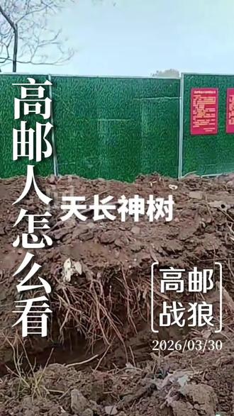 天长神树被围起来了,高邮人怎么看? 天长的神树被围起来了,高邮人你怎么看?网友们议论纷纷,也来说说你的看法#天长神树 #高邮人 #高邮 #高邮战狼