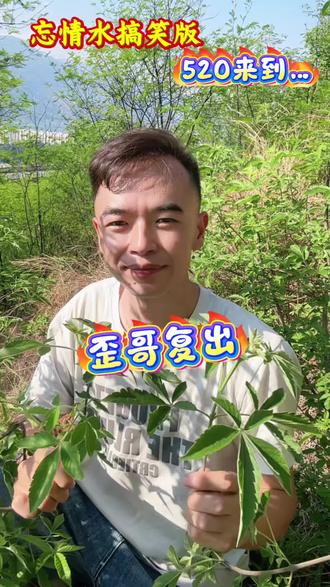 520来了,小草想的还挺多😂 #搞笑改编 原唱#刘德华 #忘情水