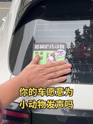 小动物不会說话,我门替它說#拒绝遗弃 #关爱流浪动物 #爱护小动物 #猫狗