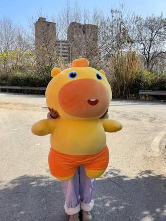 100cm巨噜开箱视频来了#水豚噜噜