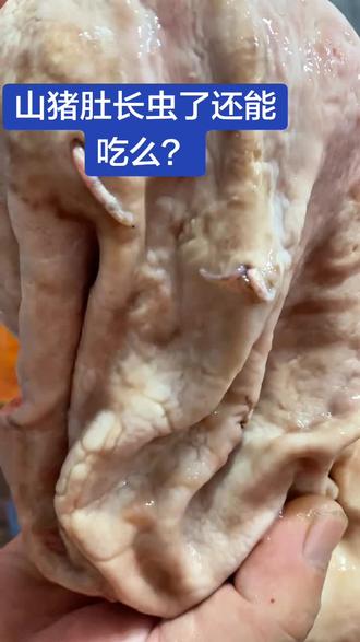 #虫肚 这猪肚子长虫了还能吃么?
