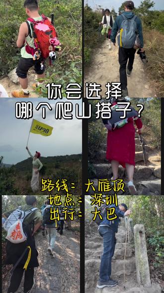 上选项,选搭子😎出大雁顶