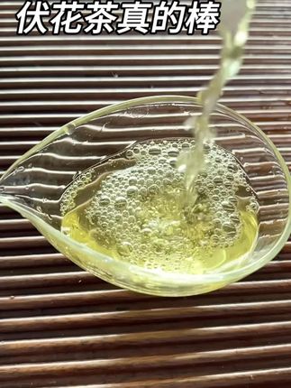 伏花茶上新了,又浓又耐泡口粮飘雪真的棒,老茶客不要错过了#茶叶 #强烈推荐 #新茶 #茉莉花茶#峰雅云华茶叶旗舰店