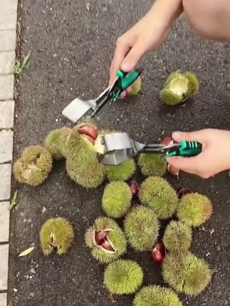 板栗工具开口夹#便宜好物 #板栗开口夹 #好物推荐分享 #商品橱窗下单购买 #分享生活小技巧