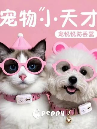 我们才是毛孩最后的保障,有这个宠物防丢器,再也不担心毛孩子走丢了#宠物防丢器 #宠物防丢牌 #萌宠好物