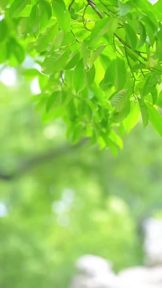 今天是5月20日,星期三,早安,千人追不如一人疼,万人宠不如一人懂,世上最牢固的感情,不是我爱你,而是我已经习惯了有你,愿有生之年,只诉温暖不诉伤,倾心相遇,安暖相伴,“520”快乐#早安朋友们开心快乐每一天 #早安 #