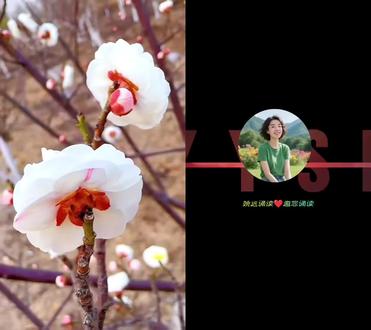 和 @姚远诵读(朗诵合拍底版制作) 一起 #合拍