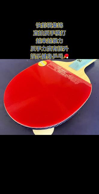 暴力直拍横打#乒乓球视频 #快乐乒乓球🏓 #生命在于运动一起锻炼吧 我#龙5x底板