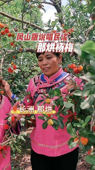 #随拍 凤山版说唱民谣,宣传家乡土特产。