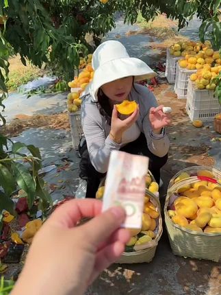 一箱要不那么多啊#蟠桃#蒙阴蜜桃