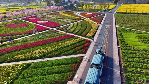 这里不是欧洲,而是浙江版的莫奈花园--武义花田美地! #春游踏青 #我在浙江赶赴一场樱花雨 #周边游 #踏春赏花 #周末去哪儿