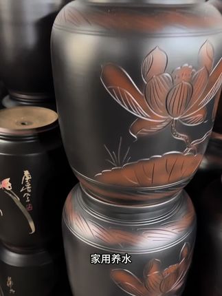 茶台养水,存水缸 养水真的甜#养水缸