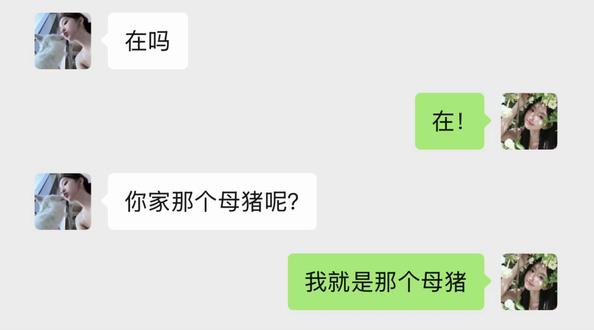 #搞笑聊天记录 #抽象 一个满脑子游戏,一个满脑子爱情,