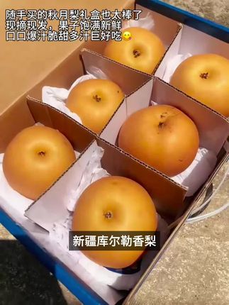 新疆直发 阿克苏冰糖秋月梨脆甜多汁当季热卖梨子 中秋节水果礼盒#事业编备考计划 #一级建造师全套视频课程 #注会财管备考经验 #教资笔试成绩多少分合格
