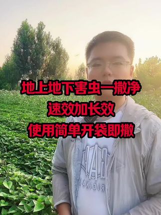 地上地下害虫一撒净#虫害防治 #除虫颗粒 #杀虫剂