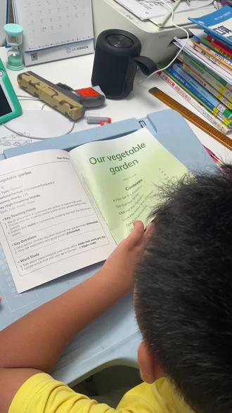 新魔法英语分级阅读5-17