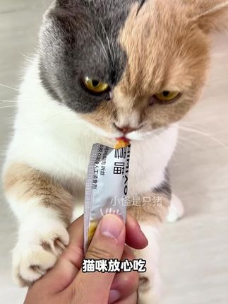这样的猫条,刷到赶紧囤!#猫条 #猫条推荐 #养猫人 #宠物食品 #宠物零食