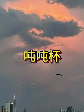 #吨吨杯 #吨吨杯推荐 #大容量水杯