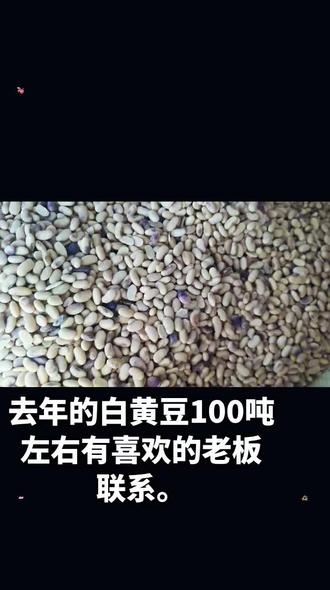 帮朋友打个广告。去年的黄豆100吨左右。人家自己种德。有喜欢的老板摇铃铃。