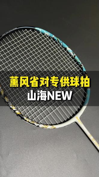 新的薰风省队专供球拍! #薰⻛⼭海NEW #薰风省队专供 #羽毛球拍 #羽球拍装备 #羽球夜宵人