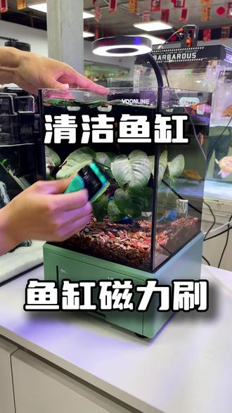 清理鱼缸其实很简单!#鱼缸磁力刷