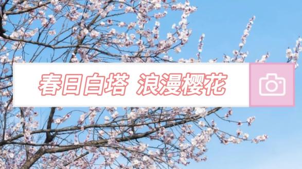 3月10号白塔公园 治愈系风景!人间值得!#创作者中心 #创作灵感 #治愈系风景 #人间值得