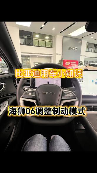 用车小知识#海狮06 ev 转向助力模式如何调整