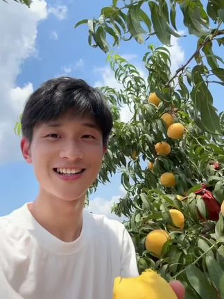 最近两天很多人收到黄桃了,都说很甜很好吃,软软糯糯的,九分甜一分酸的口感,桃子香味也很浓!