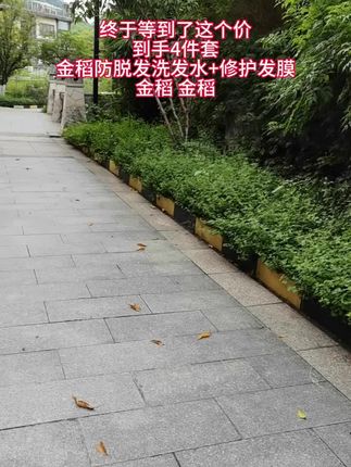 #无限回购的宝藏单品 #金稻洗发水 #养发护发 #洗护好物 #好用不贵经济实惠