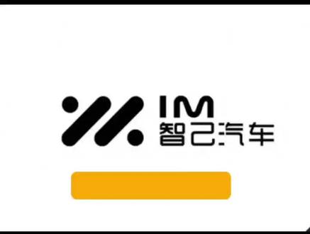 智己LS9电踏安装视频