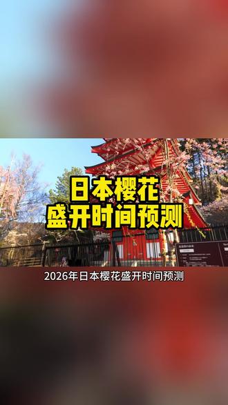 日本樱花盛开时间预测#日本樱花季 #日本旅游 #日本 #日本生活