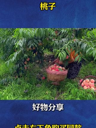 L#抖音新农人 #优质农产品 水蜜桃
