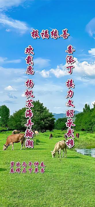 为贺乐友喜得贵子而作!
岁次丙午仲春石下草书