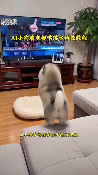 AI小狗看电视学跳水特效教程 狗狗学跳水 狗狗跳着转圈圈是什么意思 狗狗疯狂旋转表现 狗狗转圈圈表演 小狗跳水
小狗跳水ai生成
小狗跳水搞笑视频
#小狗跳水ai制作
小狗跳舞
小狗跳水ai特效
小狗跳水坑
小狗跳水 ai指令
小狗跳水ai
小狗跳水视频
小狗跳水模板 #由小云雀seedance2.0制作 #小云雀AI #小云雀爆款马上成片 #小云雀seedance