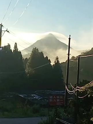 山峰笼轻纱,山泉清且澈,松鼠跃枝头,蚂蚁忙不歇 #古田香菇 #食用菌种植 #食用菌 #农村 #山村