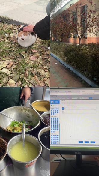 🍑vlog|求四级退费教程#vlog #vlog日常 #英语四级 #石家庄信息工程职业学院 #日常分享