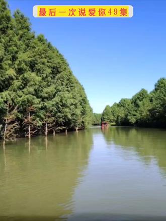 最后一次说爱你49集
