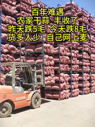 #大蒜丰收 #抖音助农 #优质农产品 #农民种地不容易