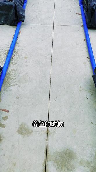 鱼缸老是脏怎么办?不妨试试这款十字牛顿!#水草造景 #水草