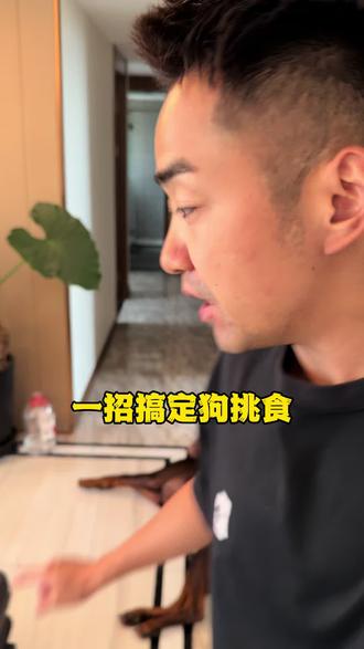 一招搞定狗挑食 #萌宠好物