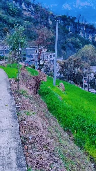 贵州人对回家的执着,尤其是在春节,是多种因
素交织的结果,既有深厚的文化传统,也有强烈
的情感纽带。
浓厚的家庭观念与情感纽带
充满仪式感的年俗文化
维系乡土人情与社交网络
独特的家乡味道与归属感
候鸟式打工背景
便捷的交通与官方的支持