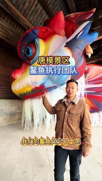 中华飞天鳌鱼,全国巡演中 打造 20 米巨型鳌鱼深受大家的喜爱,独立版权。需要的找到我们就对了。#唐模 #鳌鱼 #鳌鱼表演 #文旅 #春节