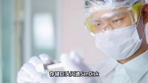 涨幅1300%!谁才是2026最强扫地僧?##AI时代 #科技巨头 #闪迪 #人工智能 #英伟达劲