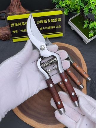 德国进口全钢一体打造成型的树枝剪,园林果树专用修枝剪#树枝剪 #树枝修剪 #修枝剪#园林工具 #果树修剪
