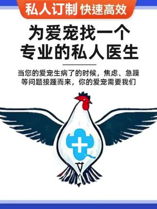 为爱宠找一个专业的私人医生,为自己找一个专业的养殖顾问,从次人生如开挂!#鹦鹉咨询服务 #鸟病咨询 #禽医老葛技术服务中心 #鸦科大佬 #禽病咨询
