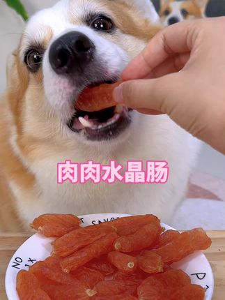 纯肉肉的水晶肠,狗狗吃起来解馋又有嚼劲#科学养宠攻略 #新手养狗 #精致小狗的一天