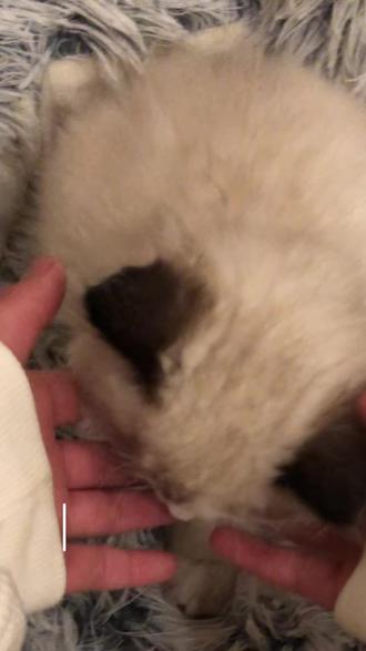 快来找我拼豆吧#拼豆 #拼豆diy #拼豆图案简单可爱分享 #分享日常生活