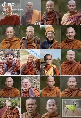 珍爱和平🙏爱是慈悲🙏