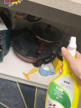 杀蟑螂药杀虫剂喷雾家用灭蟑非无毒室内宿舍出租屋厨房驱虫#除蟑螂#蟑螂怎么消灭最彻底 #灭蟑螂#蟑螂大战